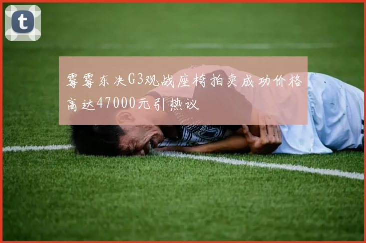 霉霉东决G3观战座椅拍卖成功价格高达47000元引热议