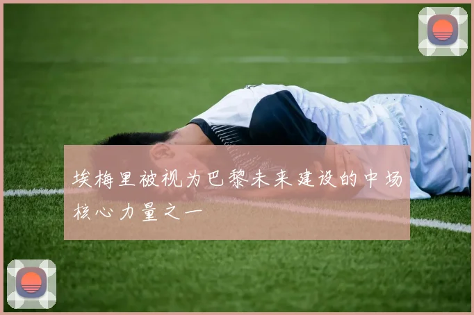 埃梅里被视为巴黎未来建设的中场核心力量之一